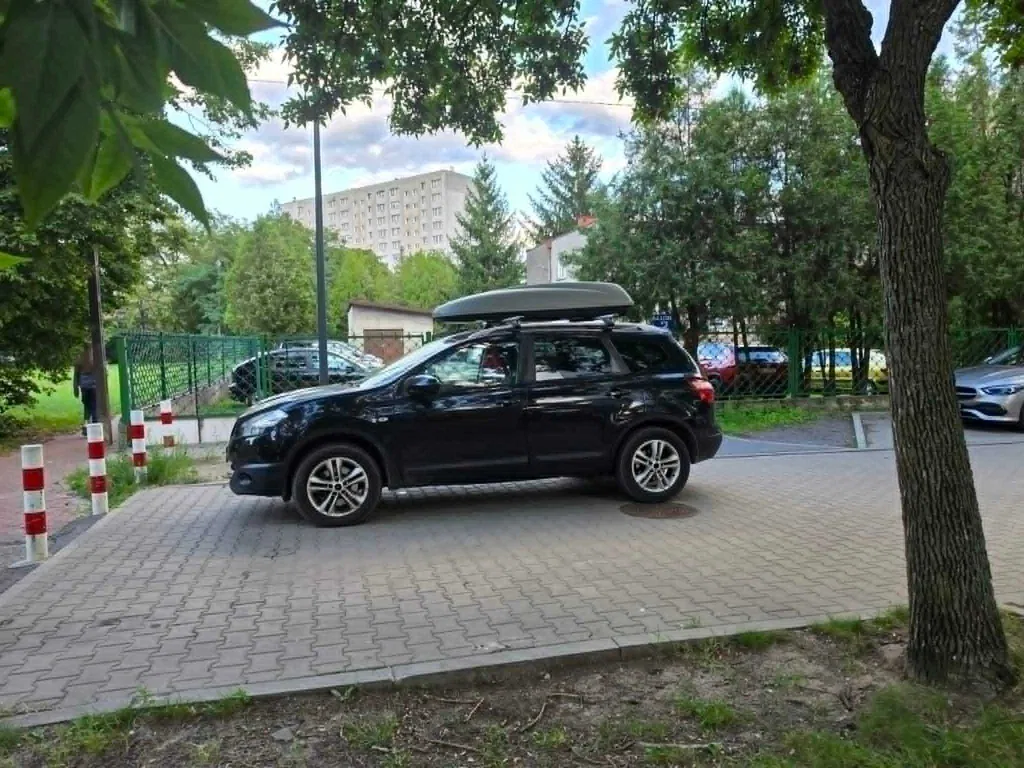Zdjęcie: 2011 Nissan Qashqai+2
