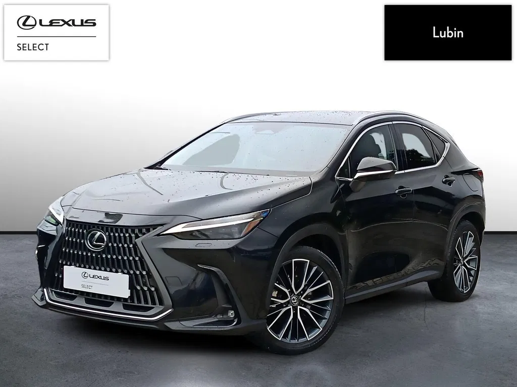 Zdjęcie: 2023 Lexus NX