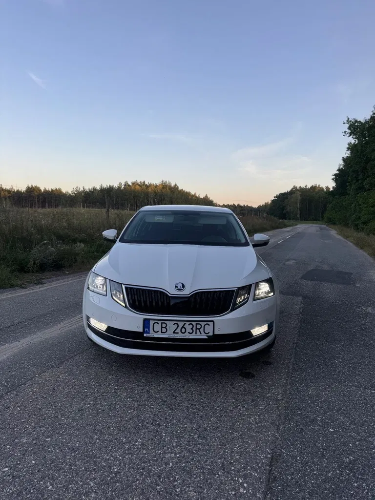Zdjęcie: 2019 Skoda Octavia
