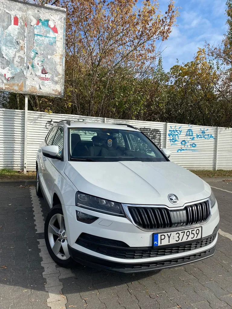 Zdjęcie: 2019 Skoda Karoq