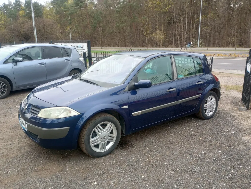 Zdjęcie: 2003 Renault Megane