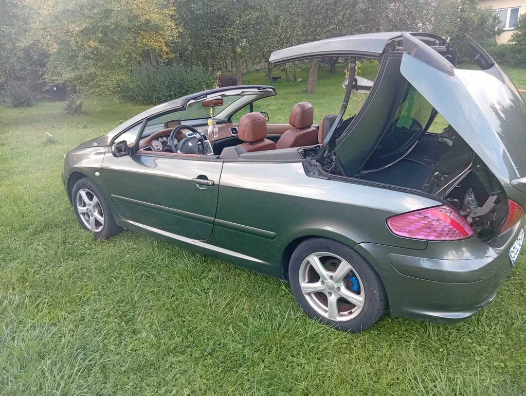 Zdjęcie: 2005 Peugeot 307 CC