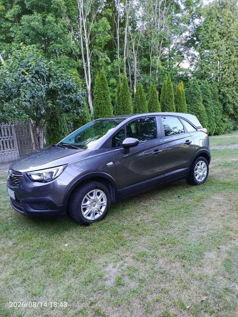 Zdjęcie: 2019 Opel Crossland X