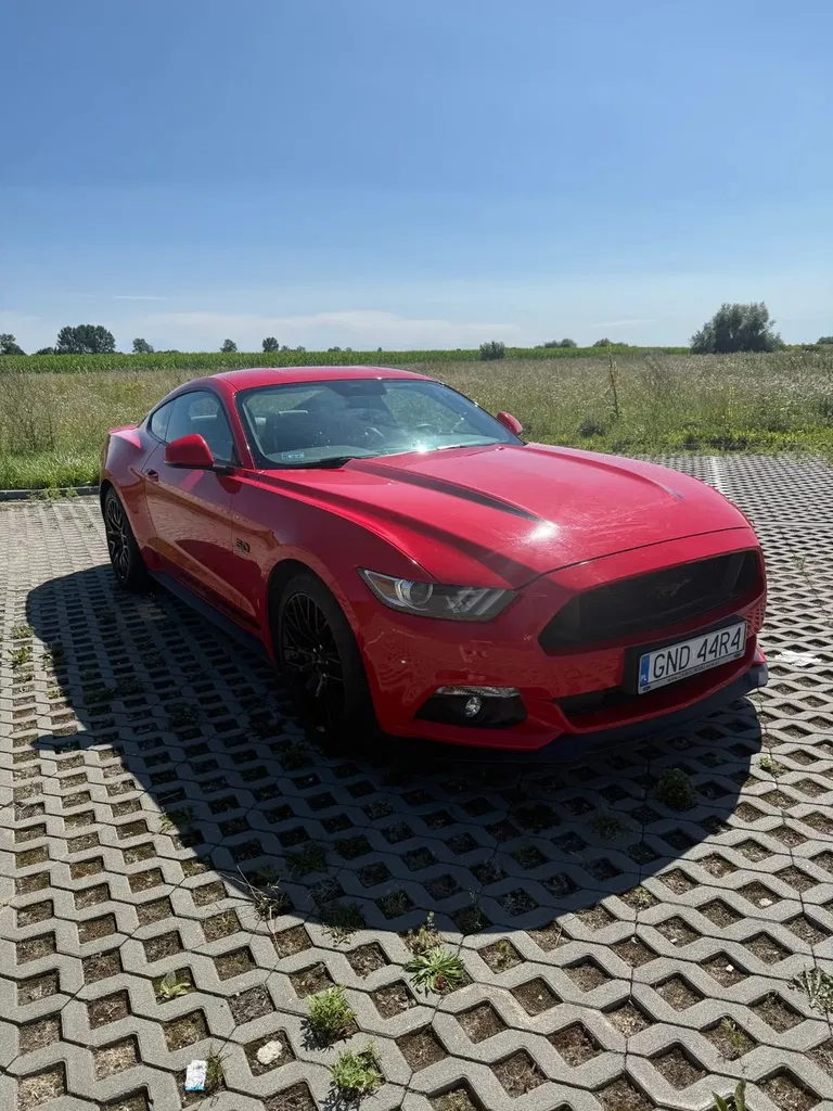 Zdjęcie: 2017 Ford Mustang