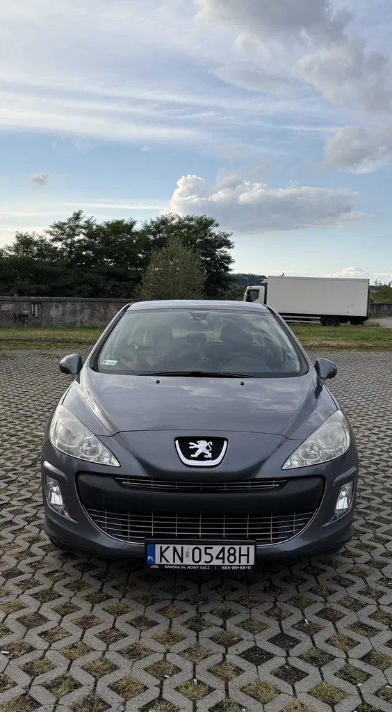 Zdjęcie: 2010 Peugeot 308