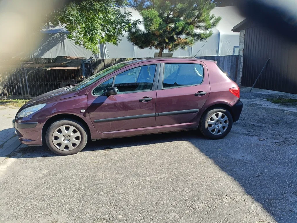 Zdjęcie: 2006 Peugeot 307