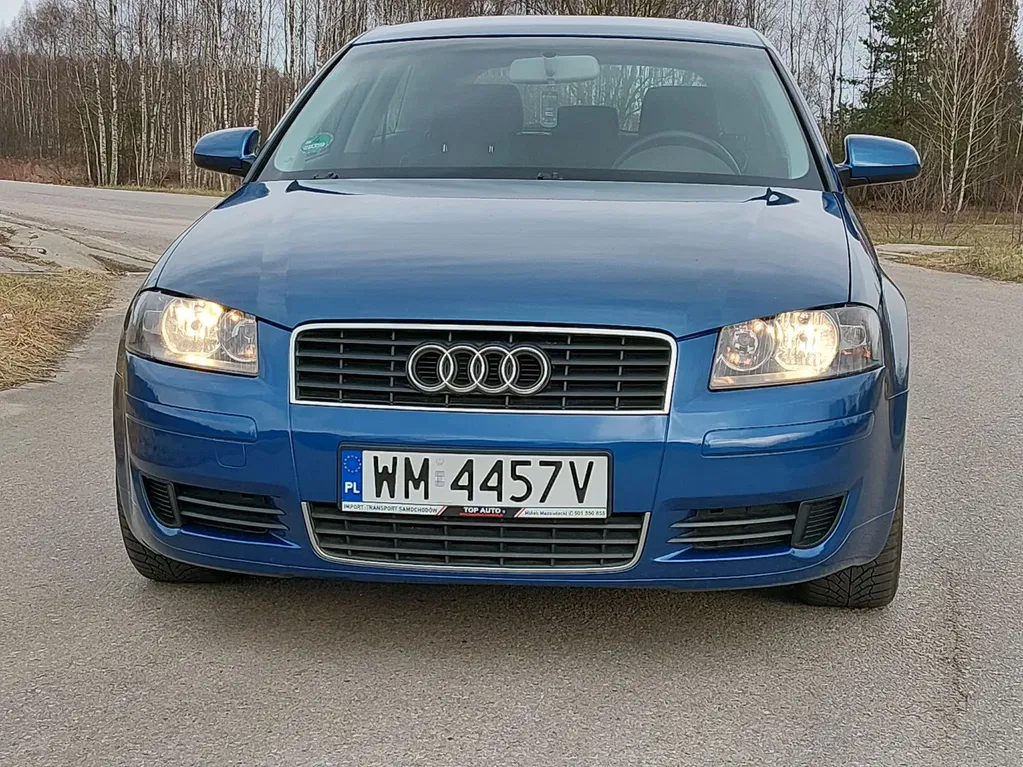 Zdjęcie: 2004 Audi A3 3-drzwiowe