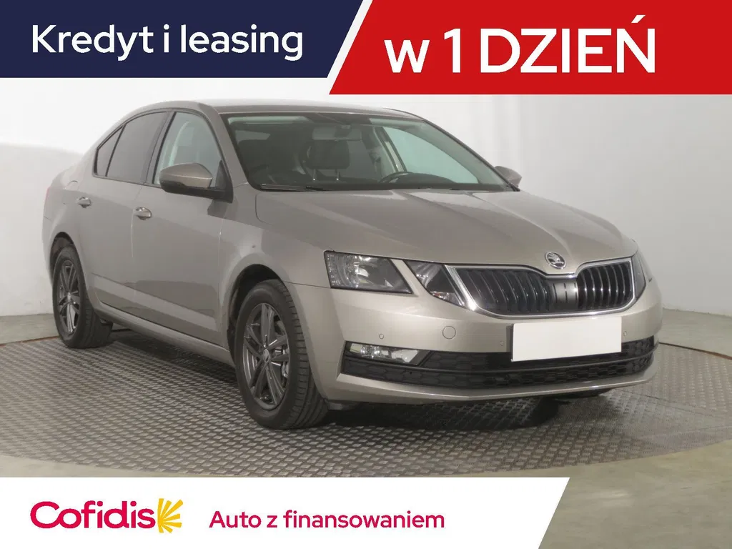 Zdjęcie: 2018 Skoda Octavia