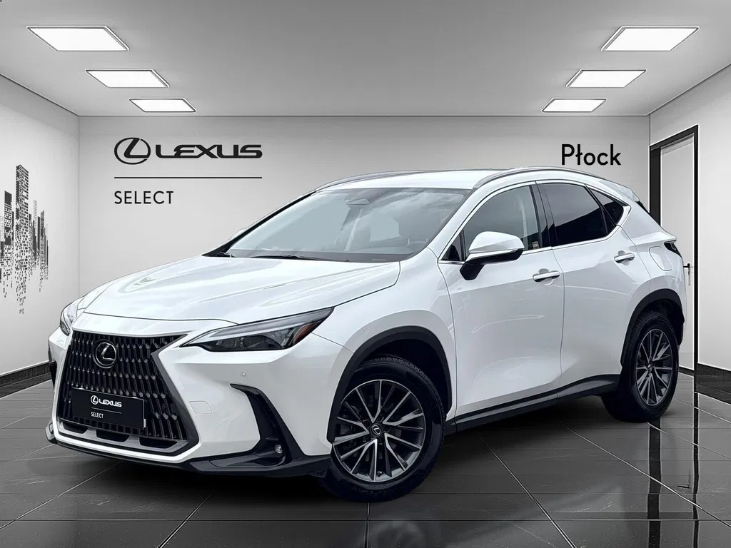 Zdjęcie: 2022 Lexus NX