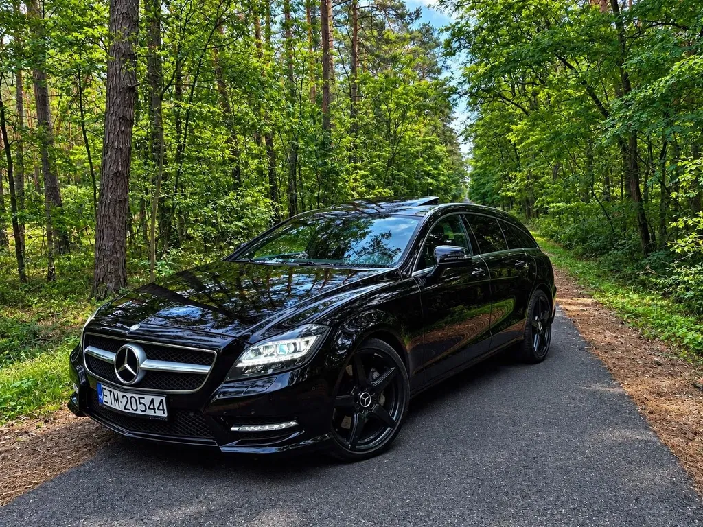 Zdjęcie: 2012 Mercedes-Benz CLS Klasa