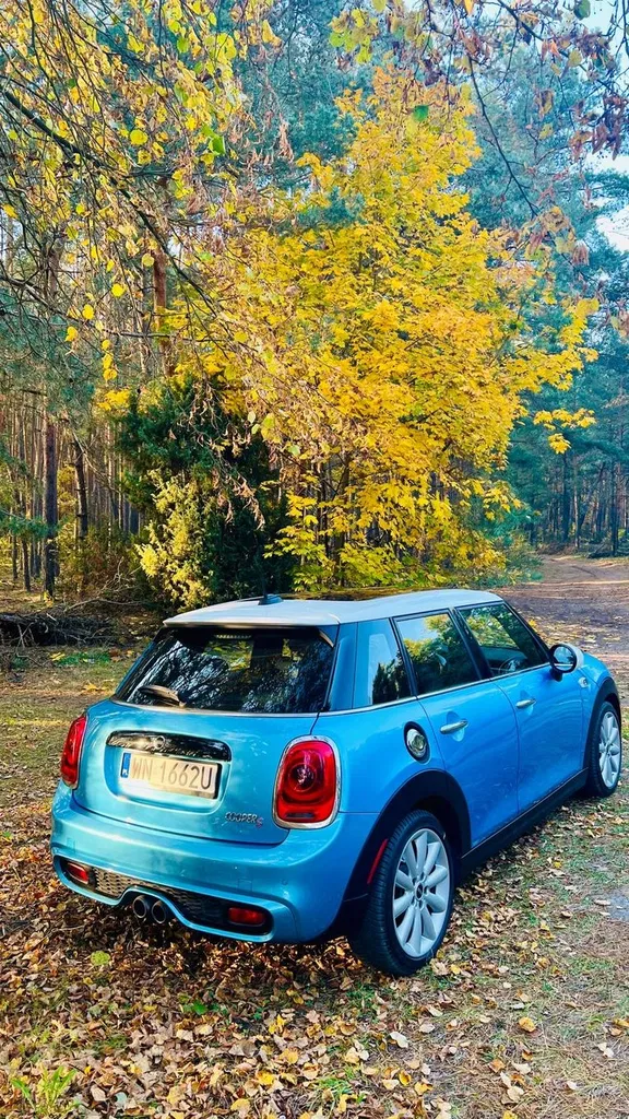 Zdjęcie: 2019 Mini Cooper S