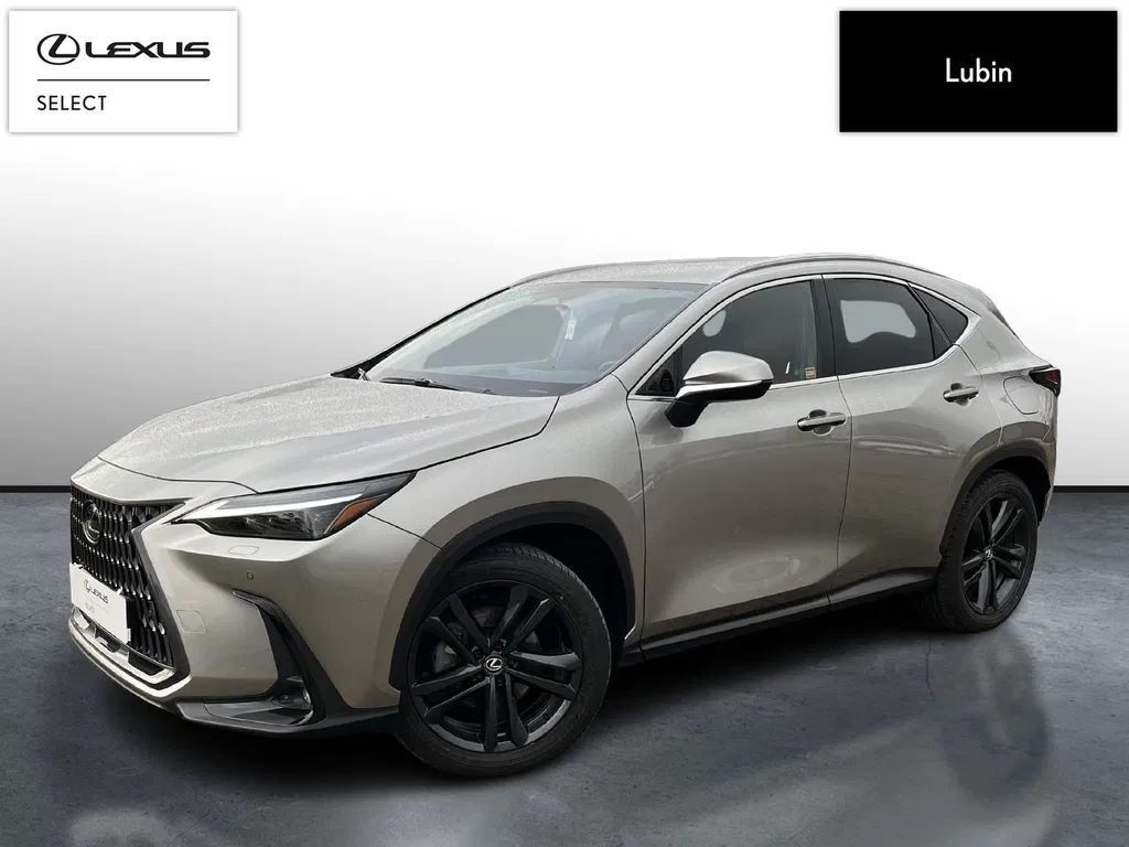 Zdjęcie: 2023 Lexus NX