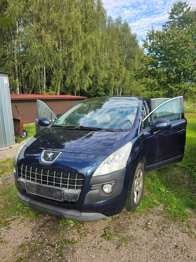 Zdjęcie: 2010 Peugeot 3008