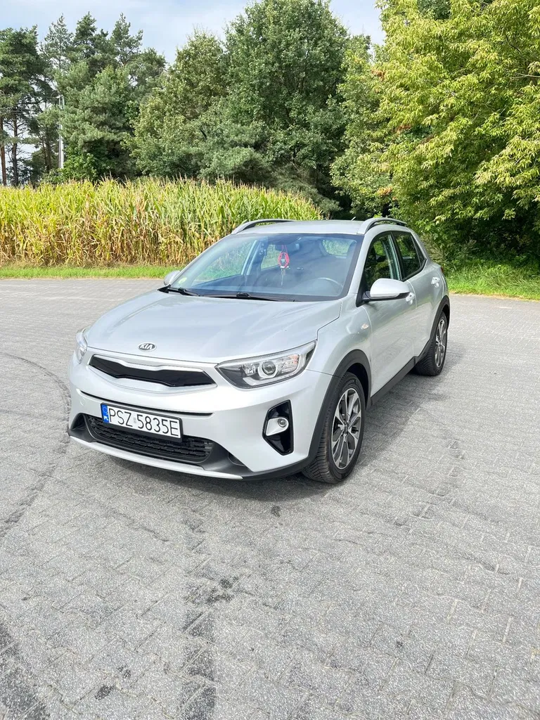 Zdjęcie: 2019 Kia Stonic