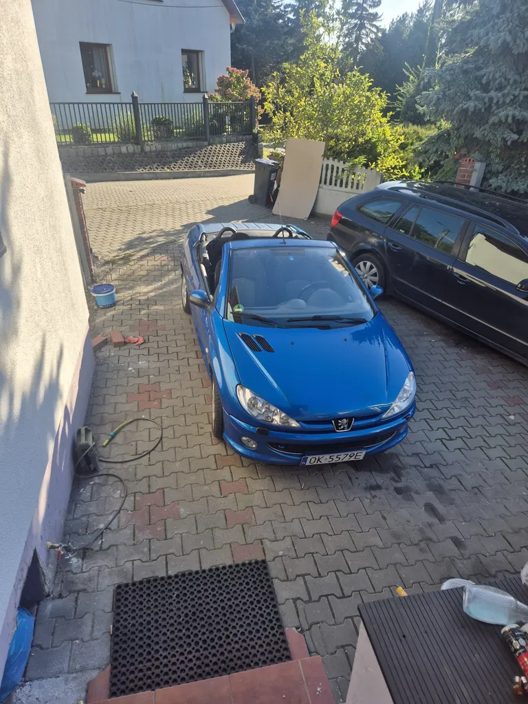 Zdjęcie: 2006 Peugeot 206 CC
