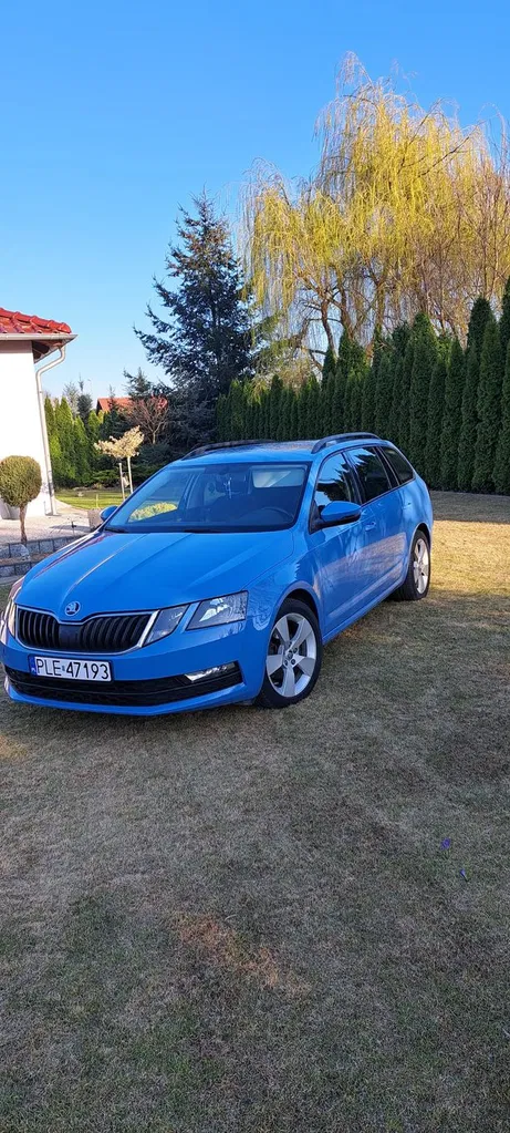 Zdjęcie: 2020 Skoda Octavia