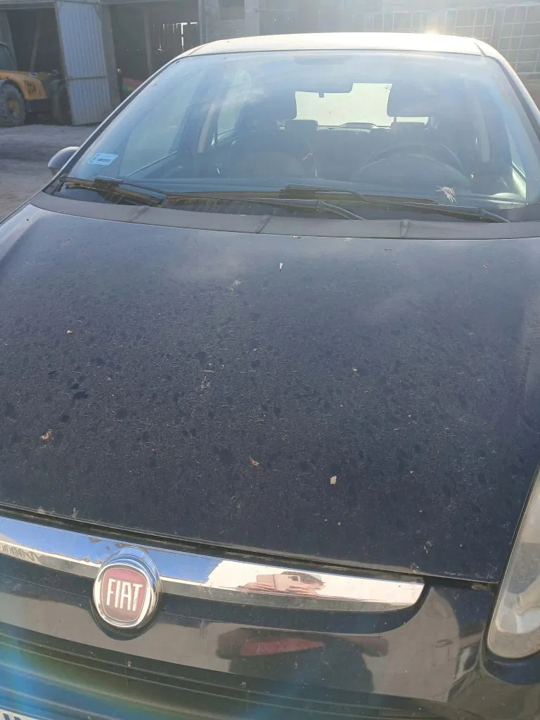 Zdjęcie: 2010 Fiat Punto