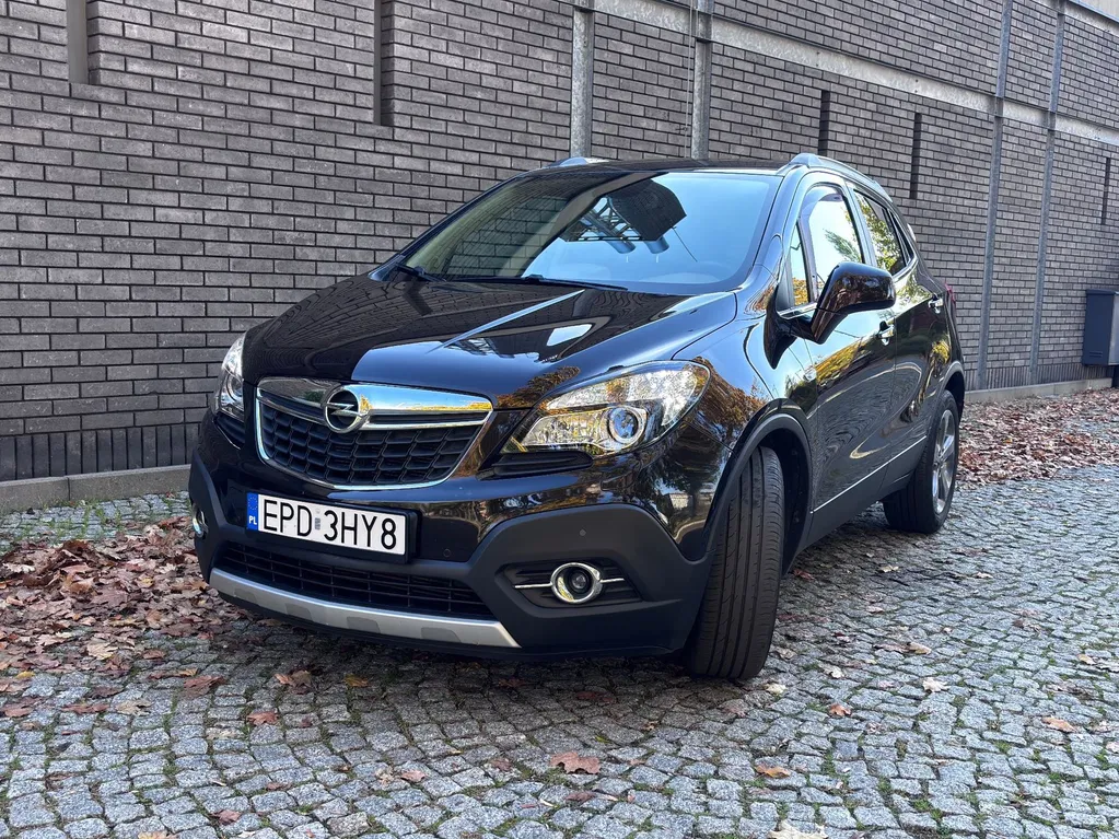 Zdjęcie: 2014 Opel Mokka