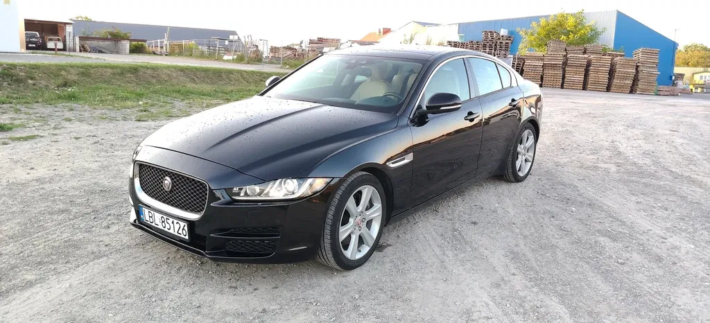 Zdjęcie: 2016 Jaguar XE
