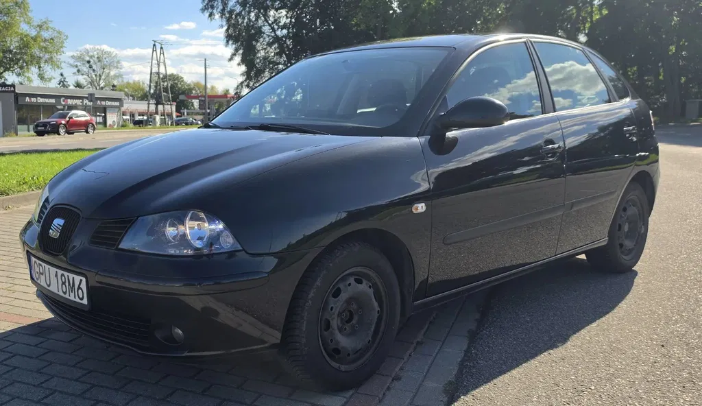 Zdjęcie: 2005 Seat Ibiza