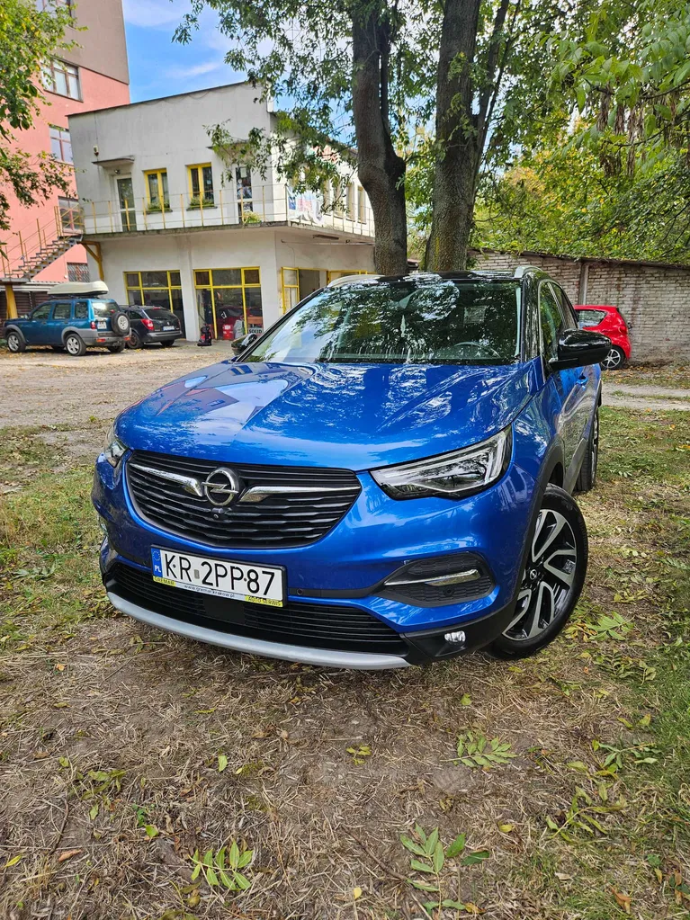 Zdjęcie: 2019 Opel Grandland X