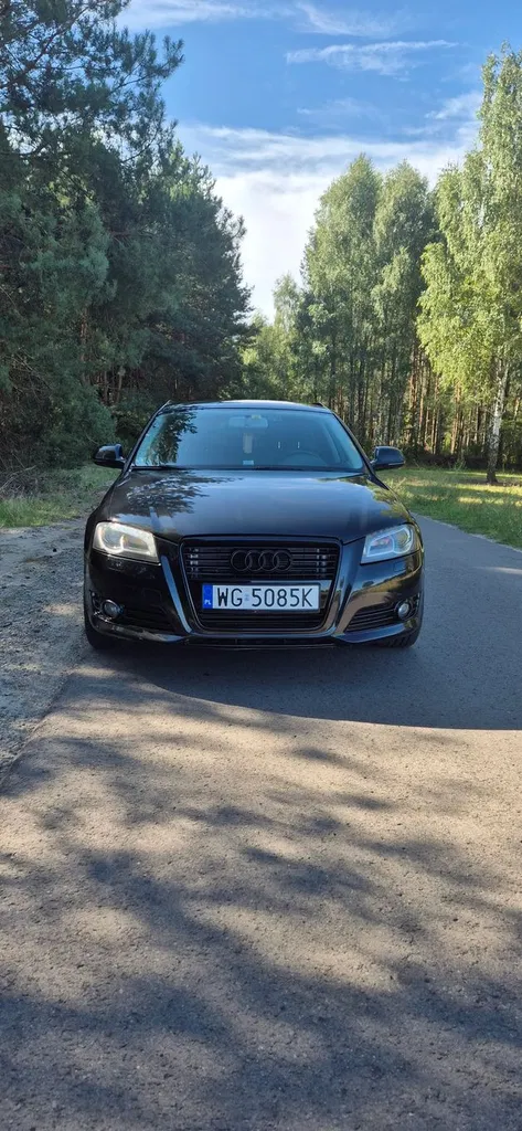 Zdjęcie: 2009 Audi A3 Sportback