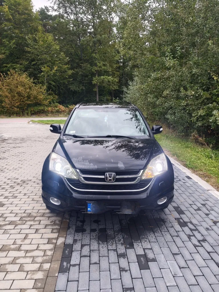 Zdjęcie: 2010 Honda CR-V