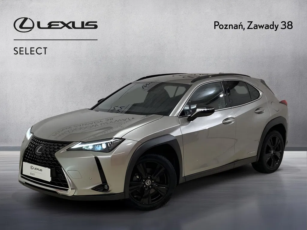 Zdjęcie: 2022 Lexus UX