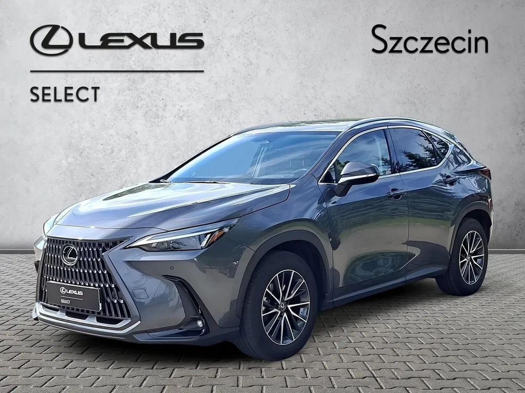Zdjęcie: 2024 Lexus NX