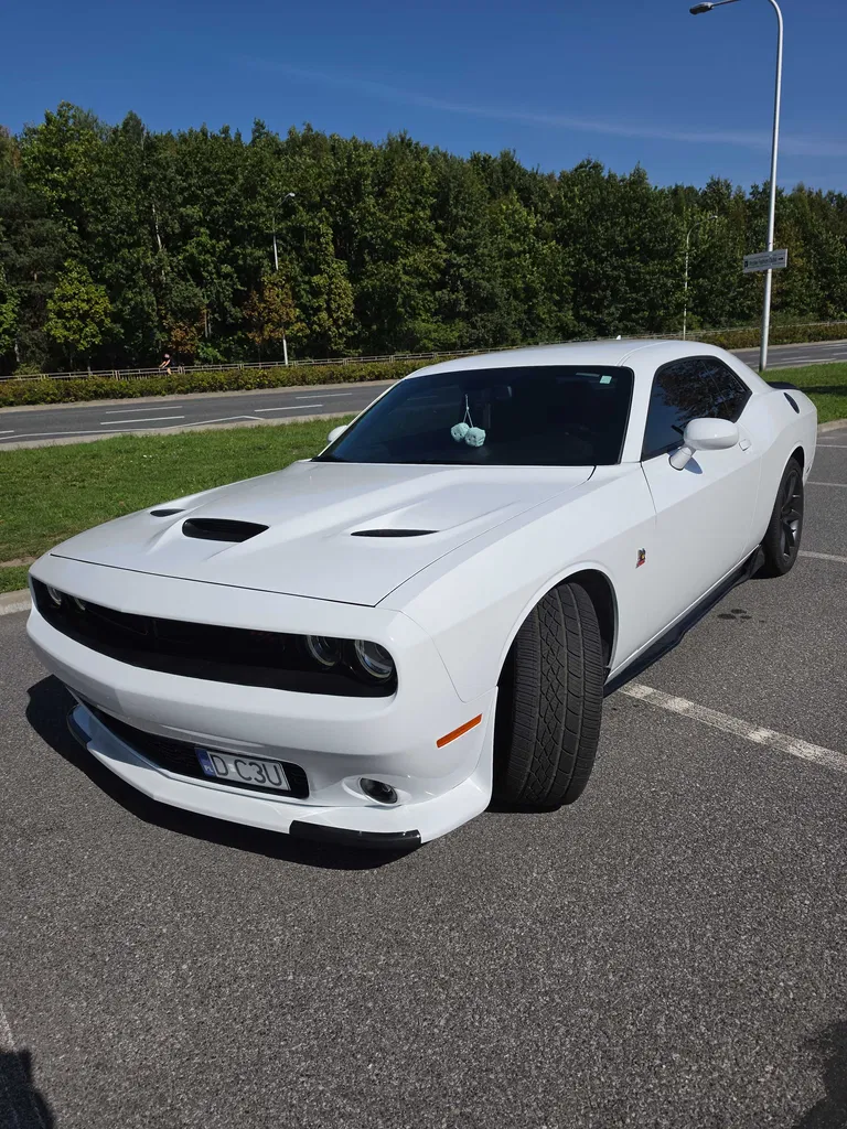 Zdjęcie: 2019 Dodge Challenger