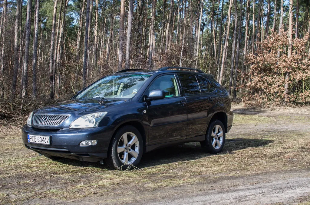 Zdjęcie: 2005 Lexus RX