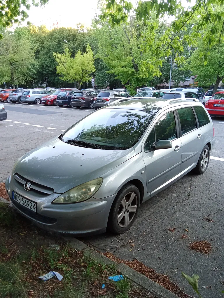 Zdjęcie: 2002 Peugeot 307 SW