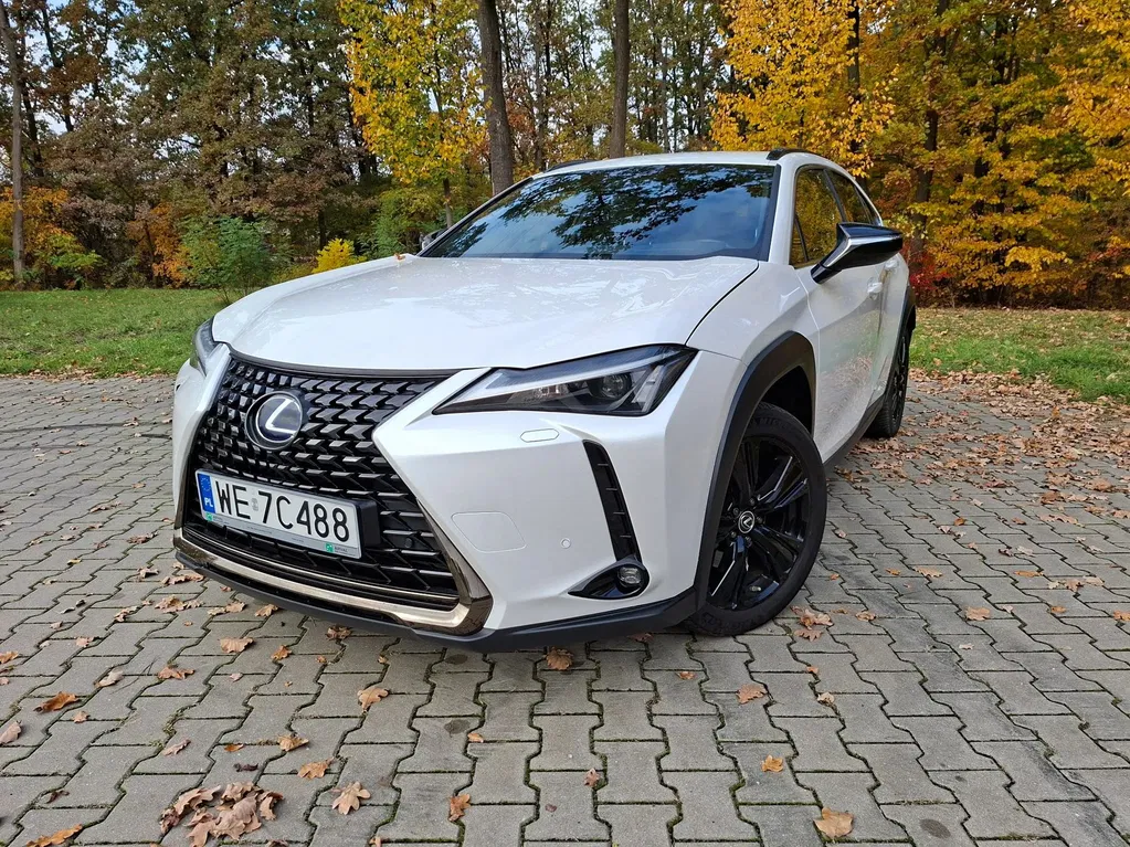 Zdjęcie: 2022 Lexus UX