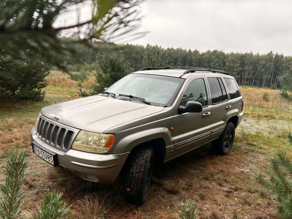 Zdjęcie: 2002 Jeep Grand Cherokee