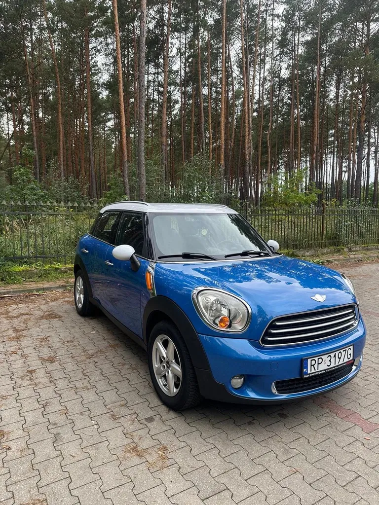 Zdjęcie: 2010 Mini Countryman