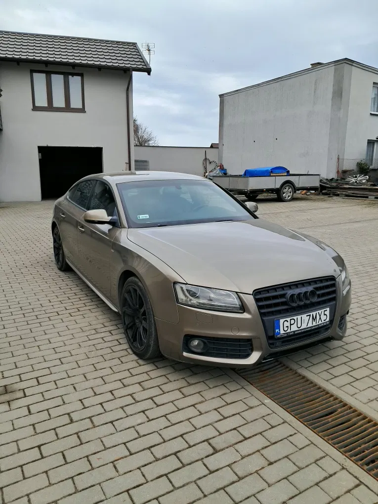 Zdjęcie: 2011 Audi A5 Sportback