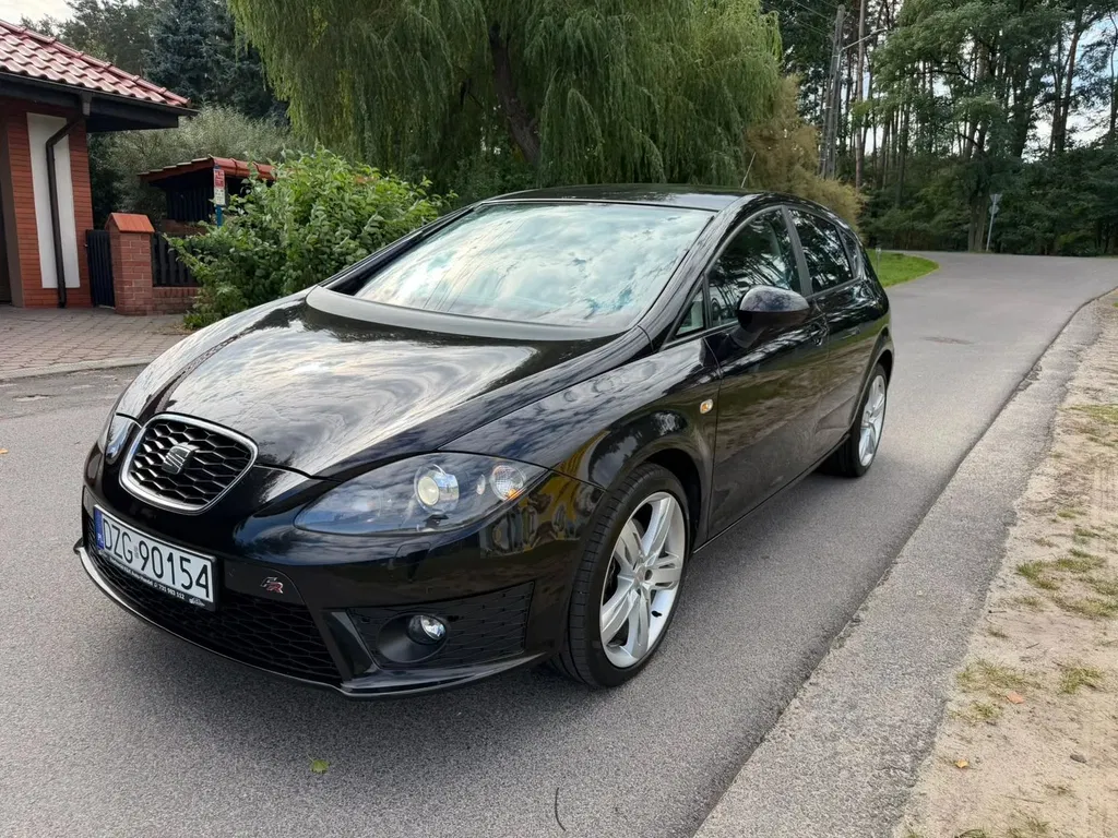 Zdjęcie: 2010 Seat Leon