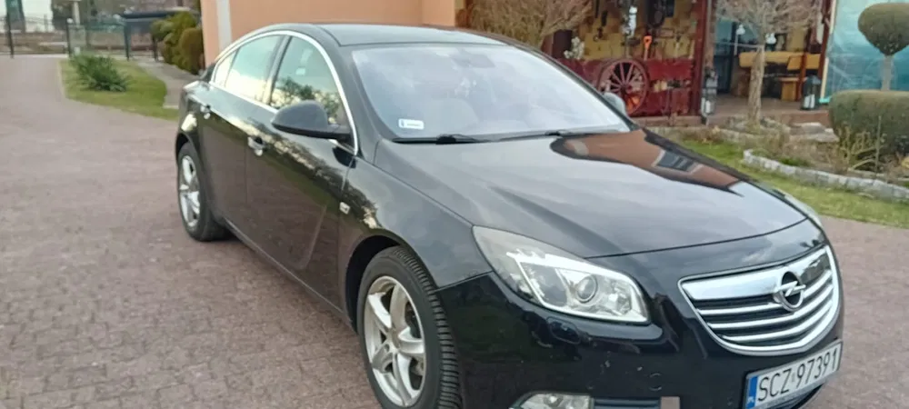 Zdjęcie: 2010 Opel Insignia