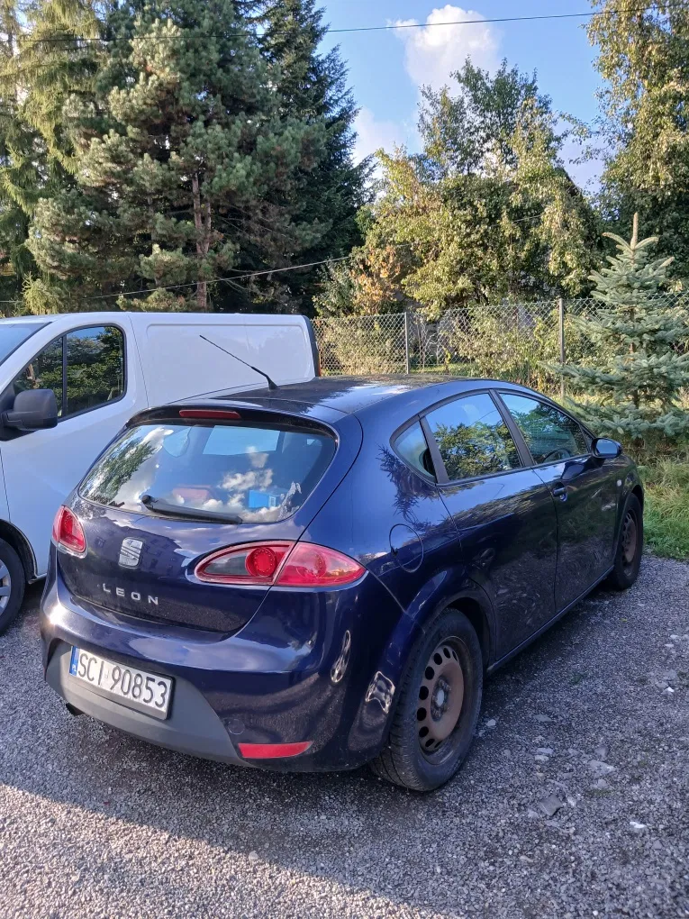 Zdjęcie: 2007 Seat Leon