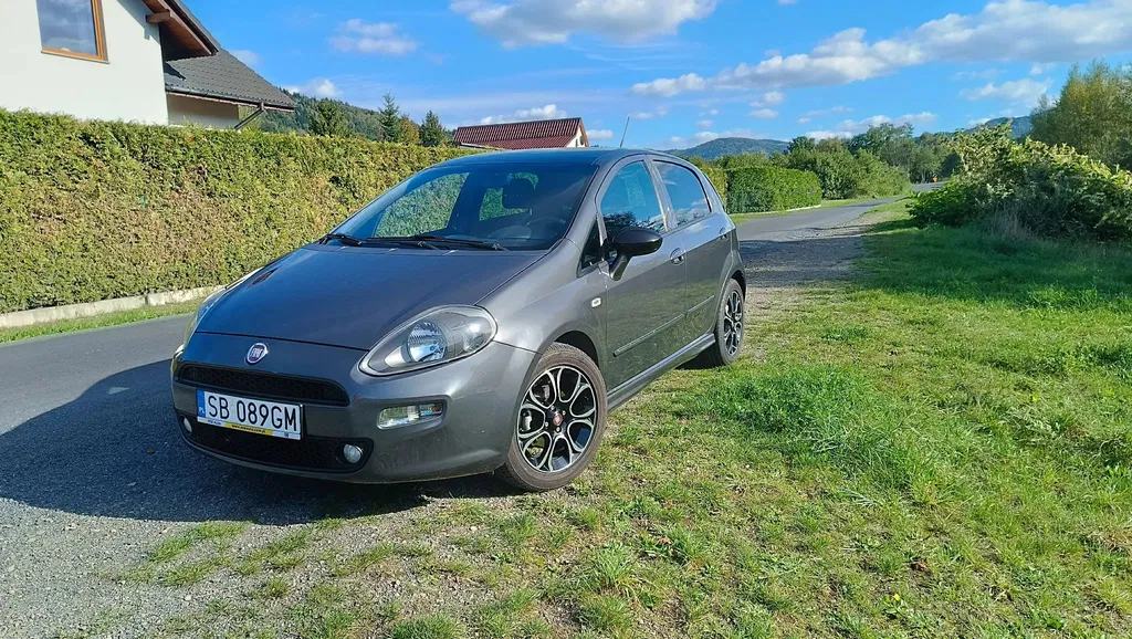 Zdjęcie: 2014 Fiat Punto