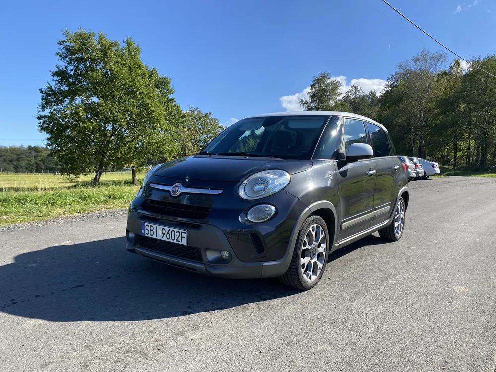 Zdjęcie: 2014 Fiat 500L