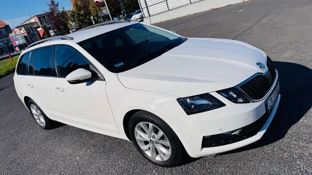Zdjęcie: 2018 Skoda Octavia