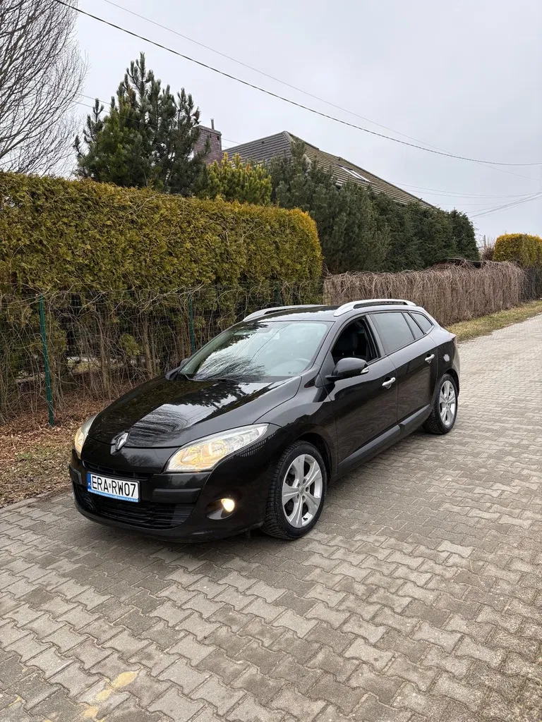 Zdjęcie: 2009 Renault Megane