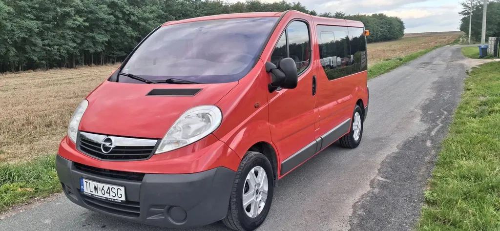 Zdjęcie: 2014 Opel Vivaro