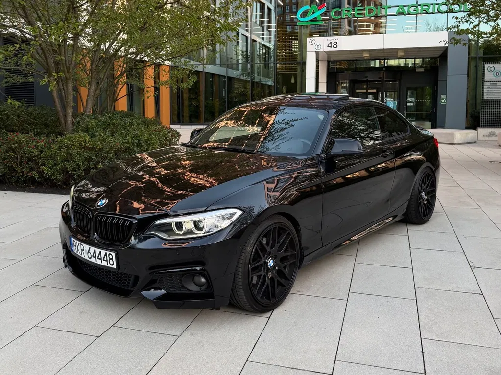 Zdjęcie: 2014 BMW Seria 2