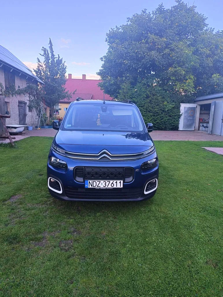 Zdjęcie: 2021 Citroen Berlingo