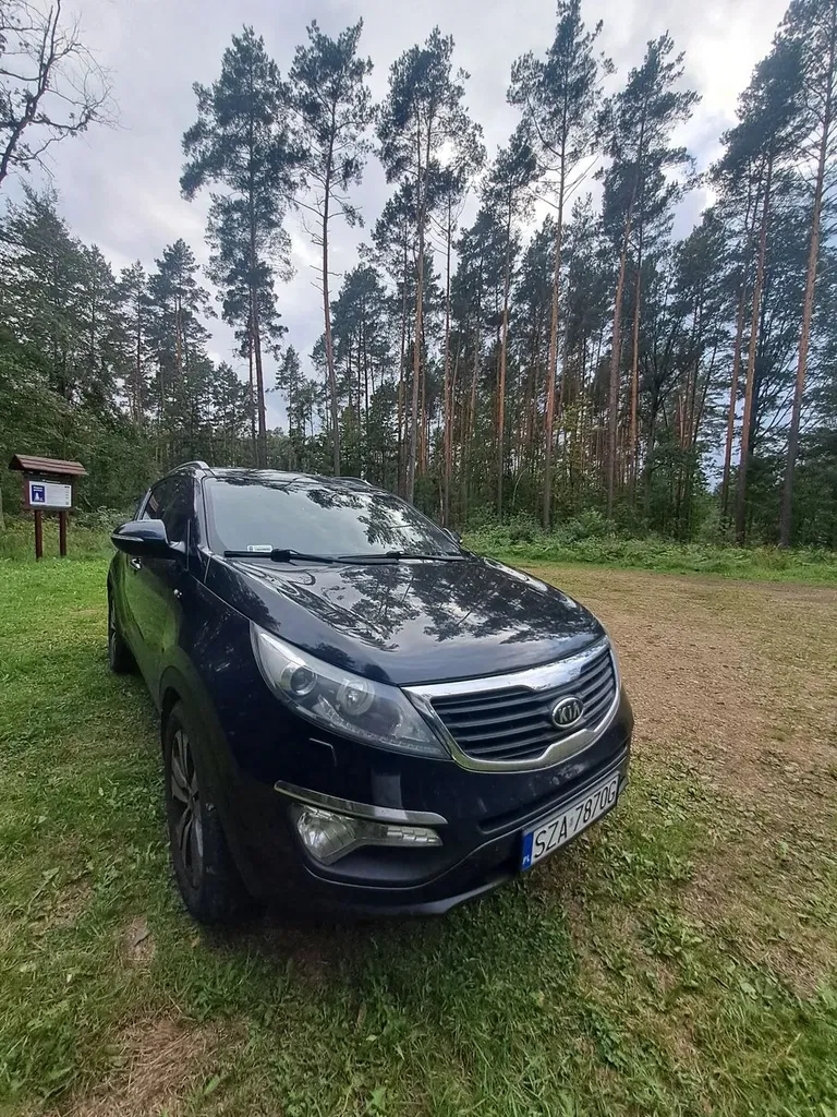Zdjęcie: 2012 Kia Sportage