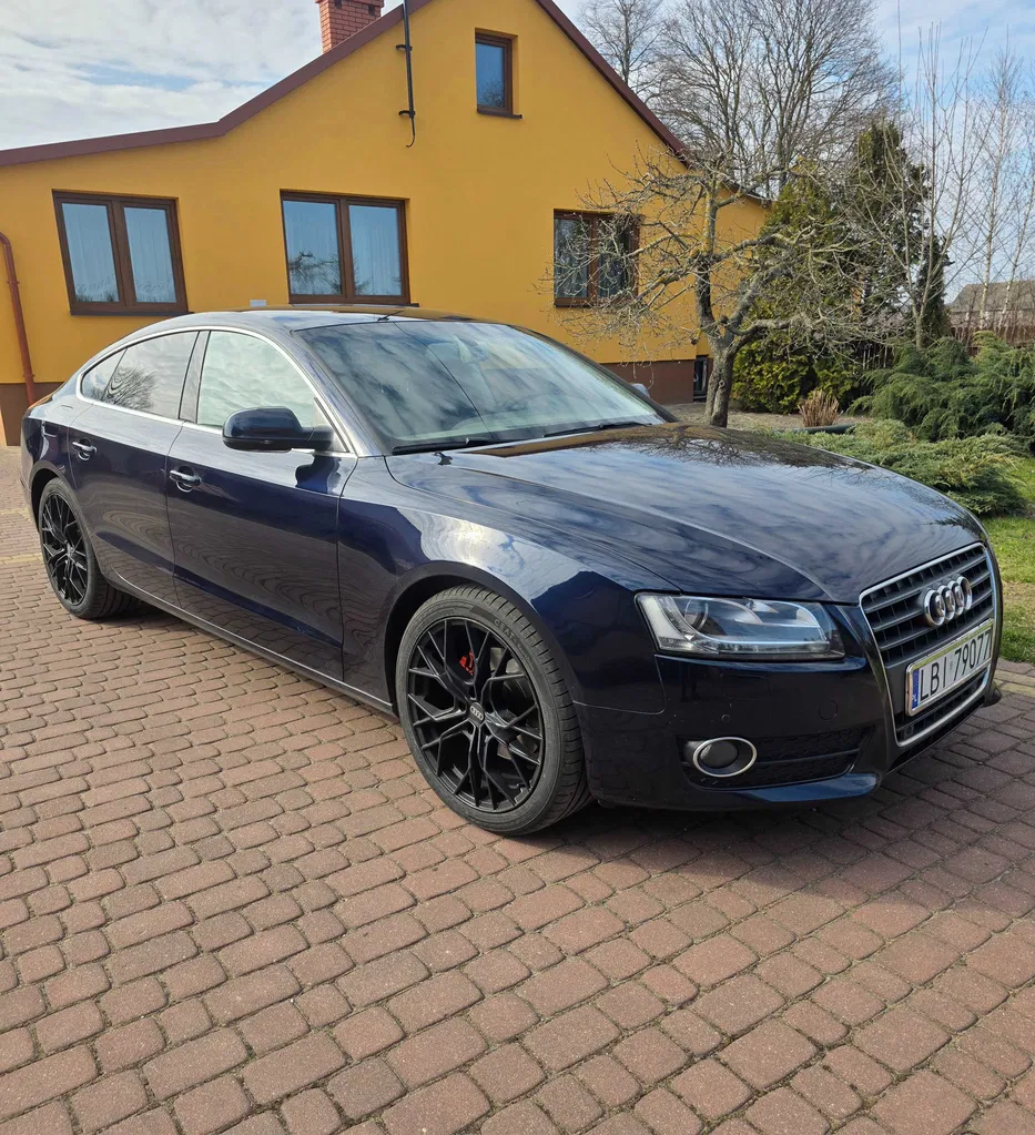 Zdjęcie: 2010 Audi A5 Sportback