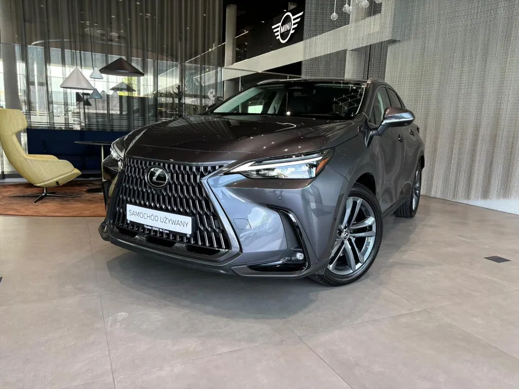 Zdjęcie: 2022 Lexus NX