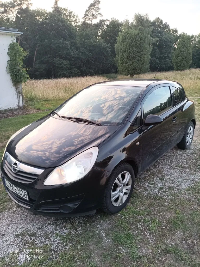 Zdjęcie: 2010 Opel Corsa